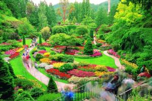 butchart_gardens