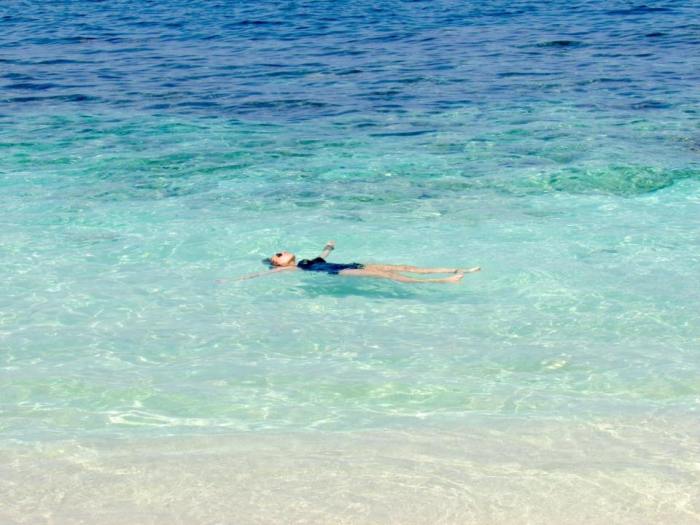 11045466_10153808311558923_823145414530107026_n