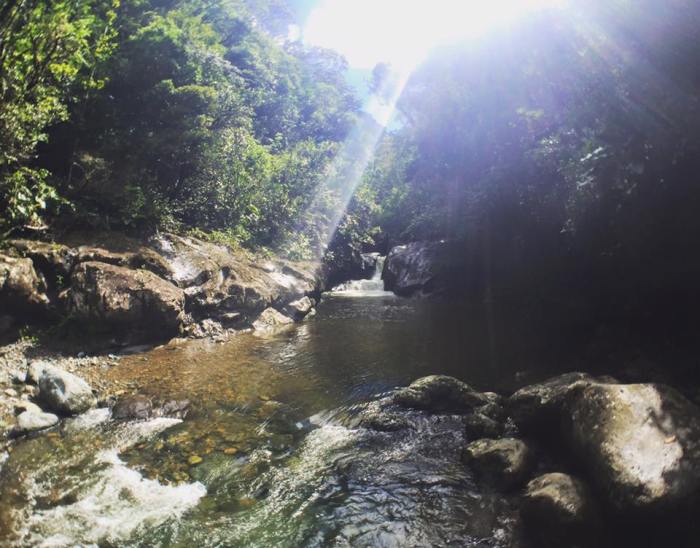 12274618_10154334319425110_8571374821646603974_n